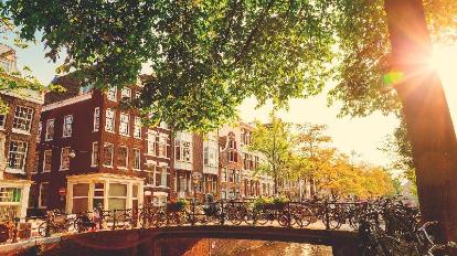 더 플라잉 피그 다운타운